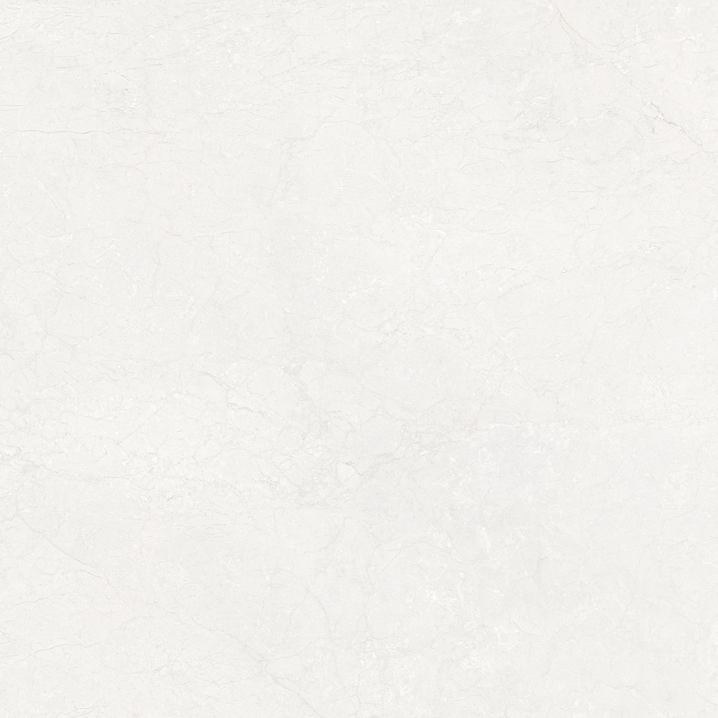 Gạch ốp lát Libon Divina White, Glossy, 120x120 hiện đại